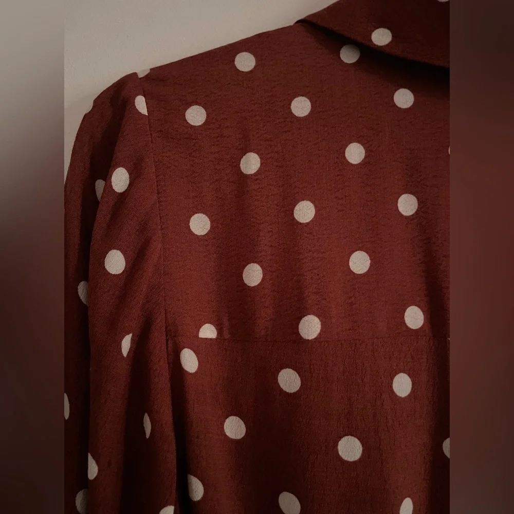 NWOT: Uterqüe Brown Midi-Dress with Polkadots - Picture 6 of 12
